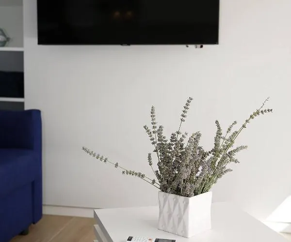 公寓 Klara 沃迪切